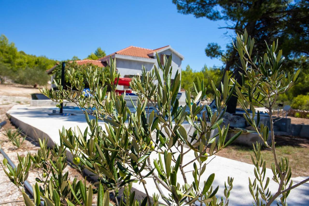 Obiteljska Kuca Za Odmor Futura Milna (Brac) Exterior foto